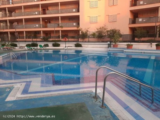 ESTUPENDO APARTAMENTO DE 1 DORMITORIO EN LOS CRISTIANOS - Arona