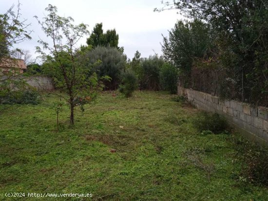 Suelo urbanizable en Venta en Palmanyola Baleares