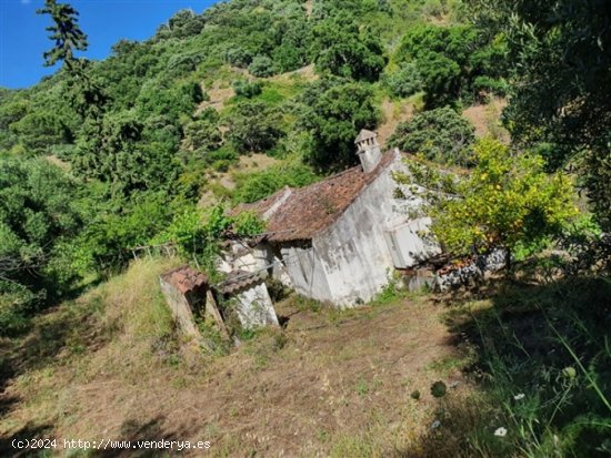 Casa de campo-Masía en Venta en Jubrique Málaga