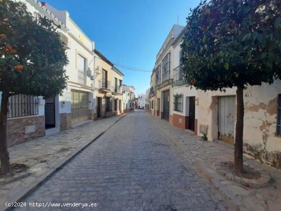  CASA EN MORON DE LA FRONTERA - SEVILLA 