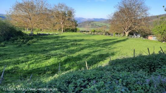 Terreno para construir vivienda en el pueblo de Luengas, junto a Santiago de Tudela - BURGOS