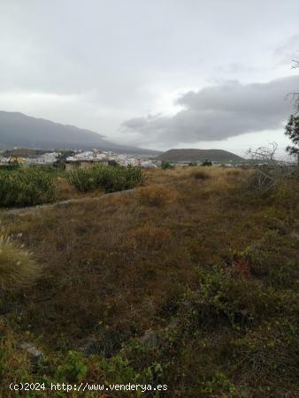 Terreno urbano Los Llanos de Aridane - SANTA CRUZ DE TENERIFE