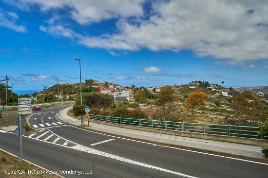 Parcela urbana en San Francisco de Paula - LAS PALMAS