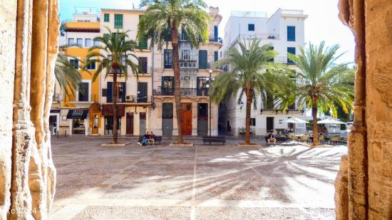 Oficina con impresionantes vistas al monumento de la Lonja, Palma - BALEARES