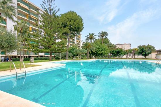 ALQUILER GANDIA VERANO 2024 RESIDENCIAL SANT JORDI - VALENCIA