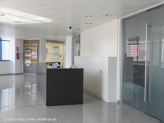 OFICINAS EN ALQUILER - VALENCIA