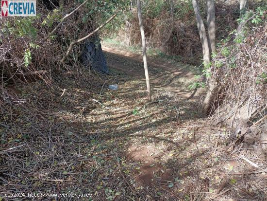 !!!!!! ESTUPENDA PARCELA TERRENO EN TACORONTE!!!!!!!! - SANTA CRUZ DE TENERIFE