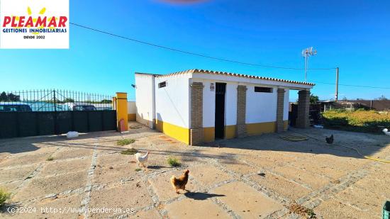 FINCA RÚSTICA CON NAVE      ZONA LOMA BAJA - CADIZ