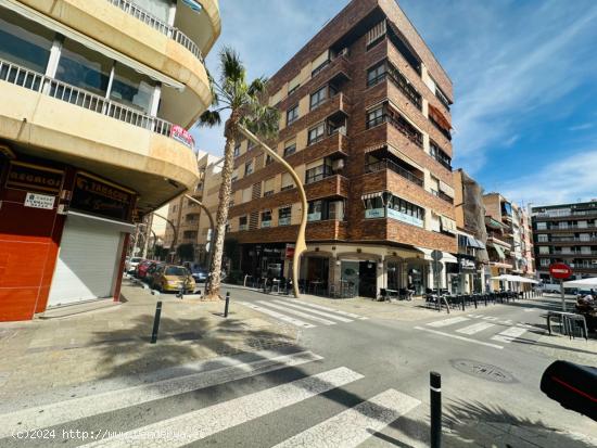  Apartamento grande en pleno centro de la ciudad Torrevieja - ALICANTE 