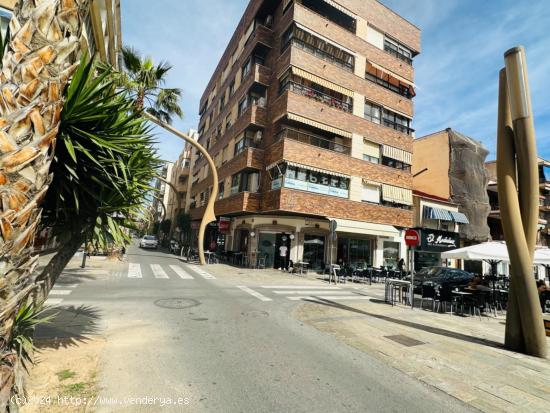 Apartamento grande en pleno centro de la ciudad Torrevieja - ALICANTE