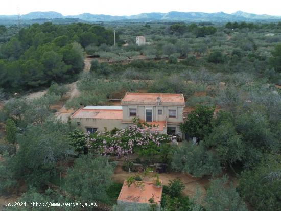 Finca Rústica de 14.000 M2 con vivienda unifamiliar de 165 M2, luz conectada y pozo de agua propio 