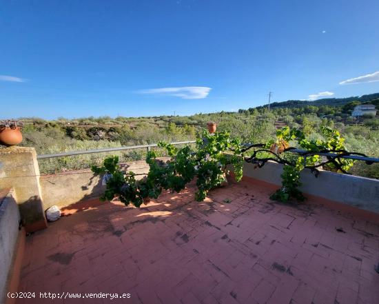 Finca Rústica de 14.000 M2 con vivienda unifamiliar de 165 M2, luz conectada y pozo de agua propio 