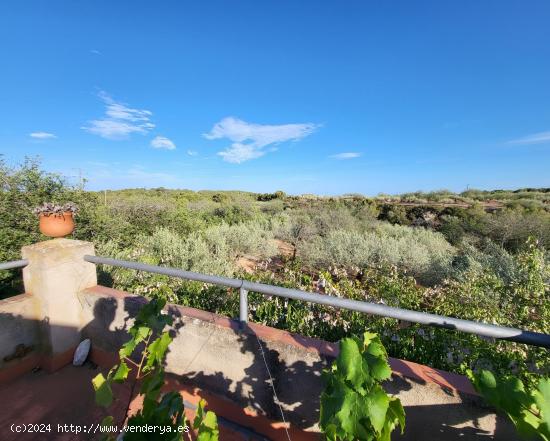 Finca Rústica de 14.000 M2 con vivienda unifamiliar de 165 M2, luz conectada y pozo de agua propio 