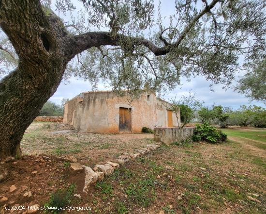 Finca Rústica de 50.000 M2, con caseta típica más almacén y agua potable conectada - TARRAGONA