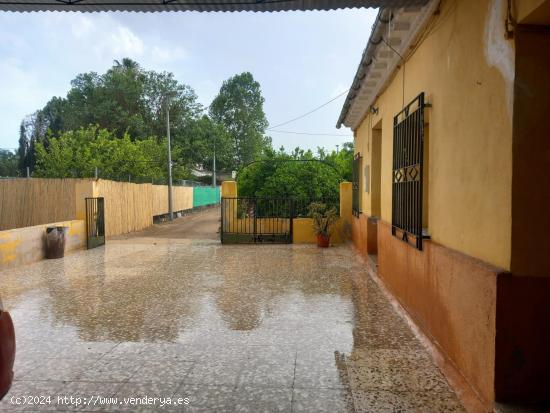 CASA EN PLENA HUERTA - MURCIA