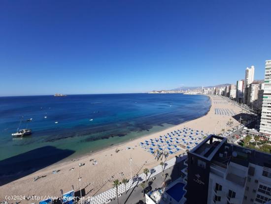 Apartamento en 1ª linea de playa Levante. Con licencia Turistica. 2 Hab. y 2 Baños. - ALICANTE