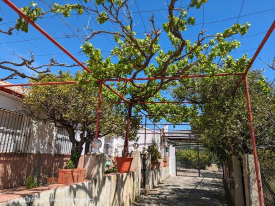 Se Vende en alora - MALAGA