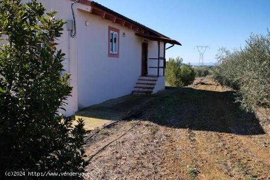 Bonita casa con terreno - TARRAGONA