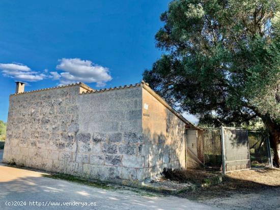 Finca en Muro - BALEARES