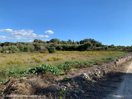 Finca en Muro - BALEARES