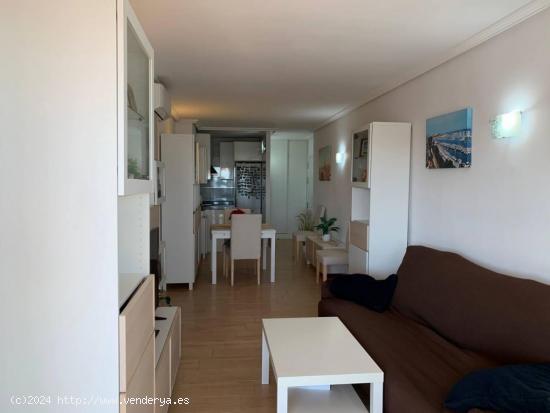 Se Vende en Palma de Mallorca - BALEARES