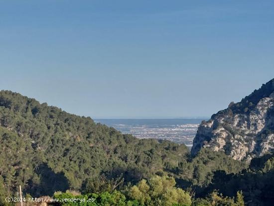 SOLAR URBANIZABLE EN VALLDEMOSSA - BALEARES