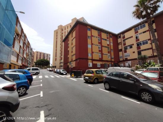 Encantador piso luminoso en el barrio de Schamann - LAS PALMAS