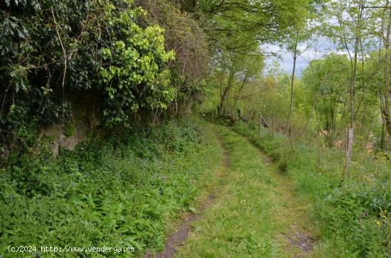 Se Vende en Villacarriedo - CANTABRIA