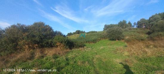 Se Vende Terreno Rústico - CANTABRIA