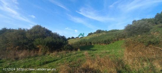 Se Vende Terreno Rústico - CANTABRIA