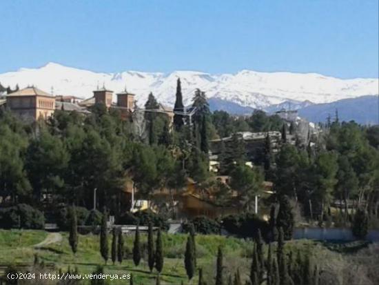 ¡SE ALQUILA MAGNIFICO PISO PARA ESTUDIANTES, CURSO 2024/2025! ZONA DE CARTUJA - GRANADA