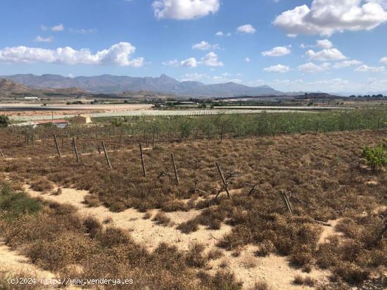 Terreno en Monforte del Cid - ALICANTE