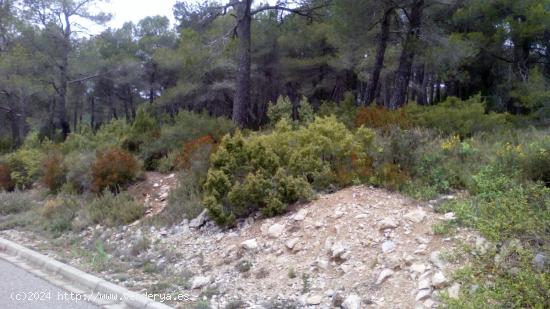 TERRENO DE 1000M² EN LA ZONA RESIDENCIAL MAS BERMELL, TARRAGONA - TARRAGONA