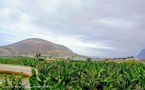 Amplia Casa en Buenavista del Norte – ¡Perfecta para Toda la Familia! - SANTA CRUZ DE TENERIFE