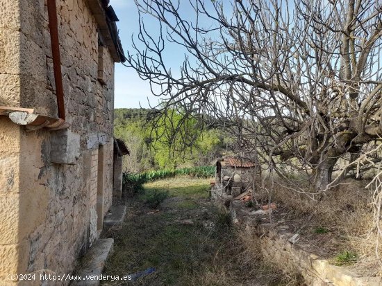  Suelo rústico en venta  en Horta de Sant Joan - Tarragona 