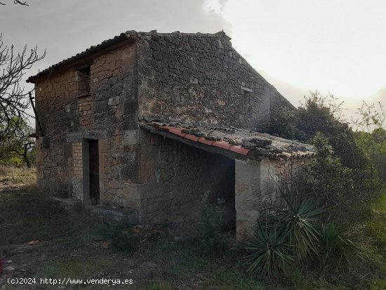 Suelo rústico en venta  en Horta de Sant Joan - Tarragona