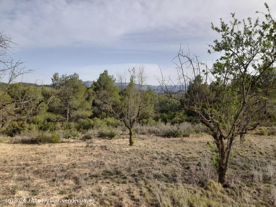 Suelo rústico en venta  en Horta de Sant Joan - Tarragona