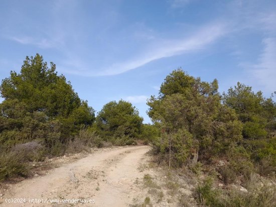 Suelo rústico en venta  en Horta de Sant Joan - Tarragona