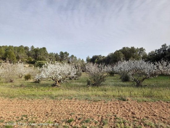 Suelo rústico en venta  en Horta de Sant Joan - Tarragona