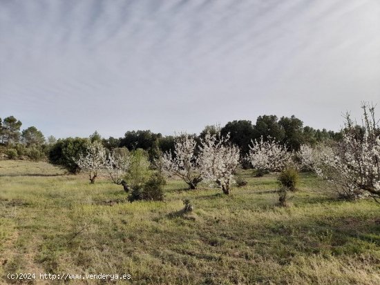 Suelo rústico en venta  en Horta de Sant Joan - Tarragona