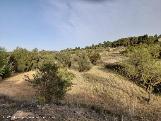 Suelo rústico en venta  en Horta de Sant Joan - Tarragona