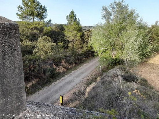 Suelo rústico en venta  en Horta de Sant Joan - Tarragona