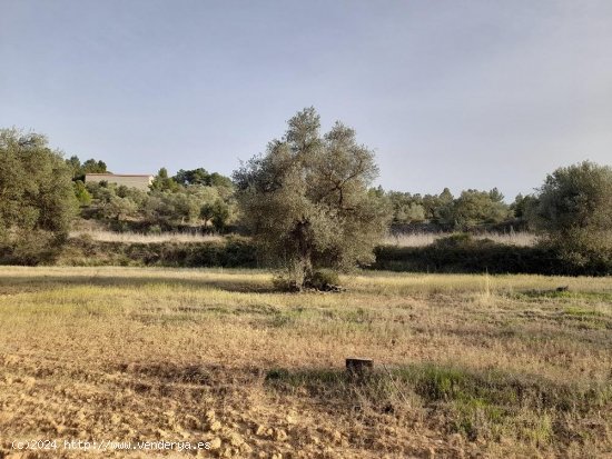 Suelo rústico en venta  en Horta de Sant Joan - Tarragona