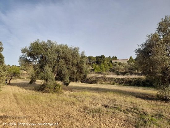 Suelo rústico en venta  en Horta de Sant Joan - Tarragona