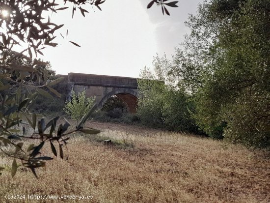 Suelo rústico en venta  en Horta de Sant Joan - Tarragona