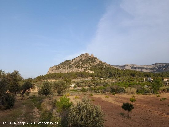 Suelo rústico en venta  en Horta de Sant Joan - Tarragona