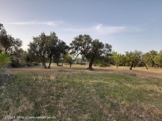 Suelo rústico en venta  en Horta de Sant Joan - Tarragona