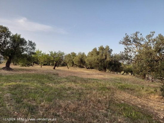 Suelo rústico en venta  en Horta de Sant Joan - Tarragona