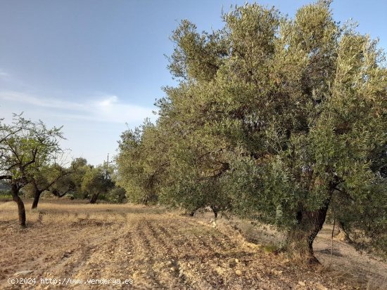 Suelo rústico en venta  en Horta de Sant Joan - Tarragona