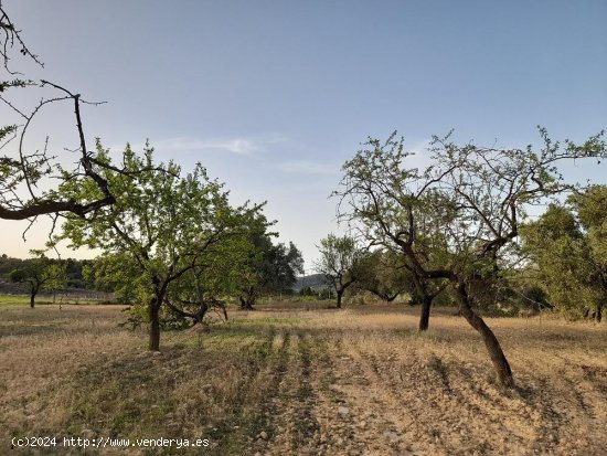 Suelo rústico en venta  en Horta de Sant Joan - Tarragona